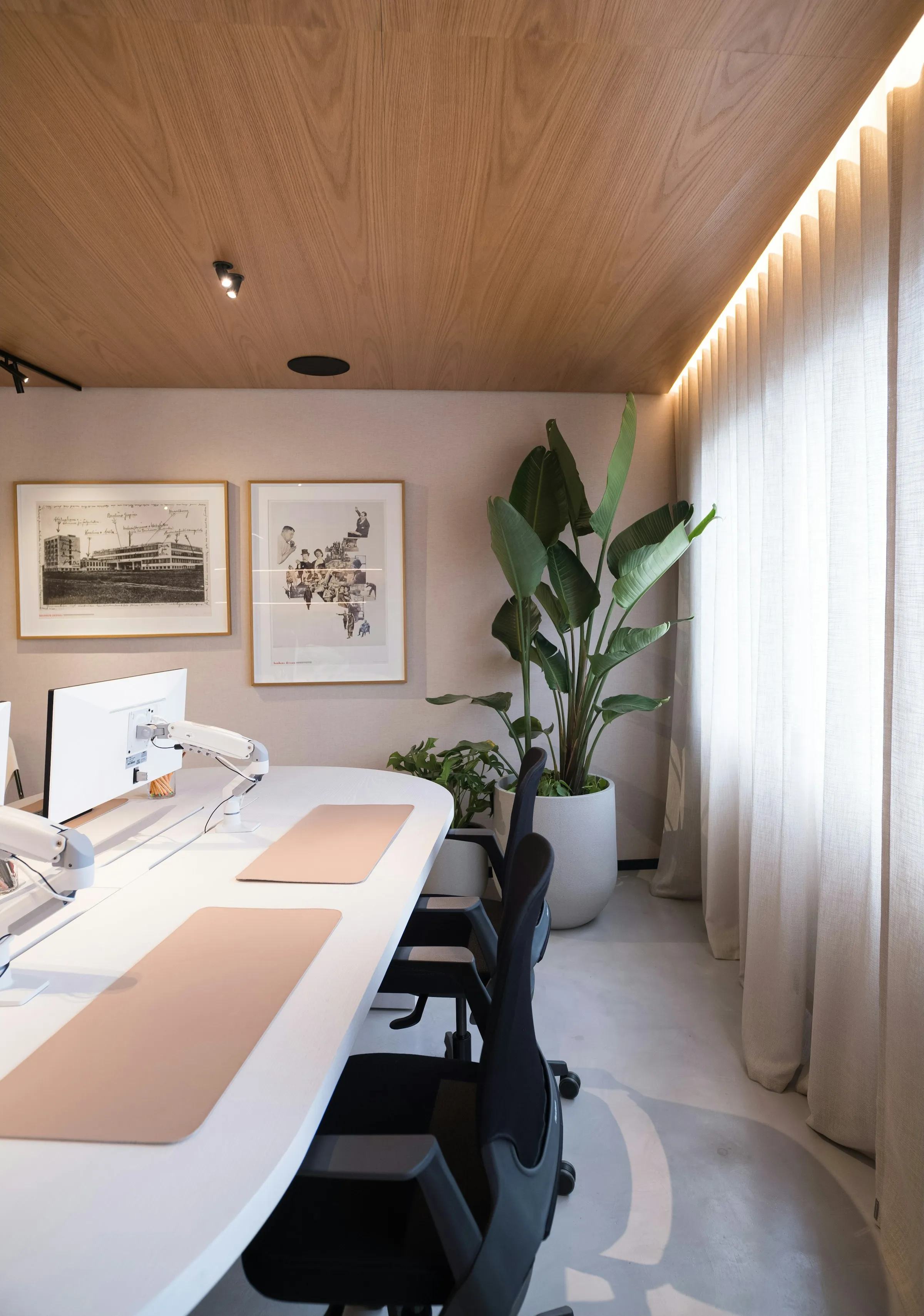 Modern kantoor met grote groene plant