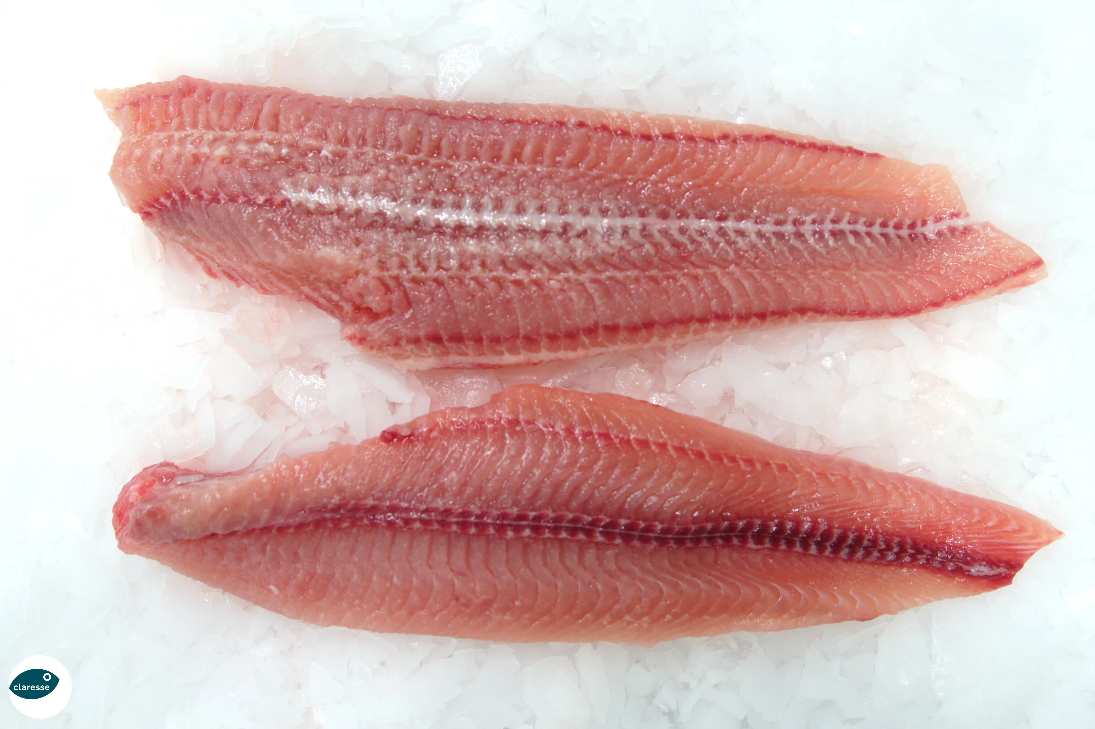 Verse Claresse-filets op ijs