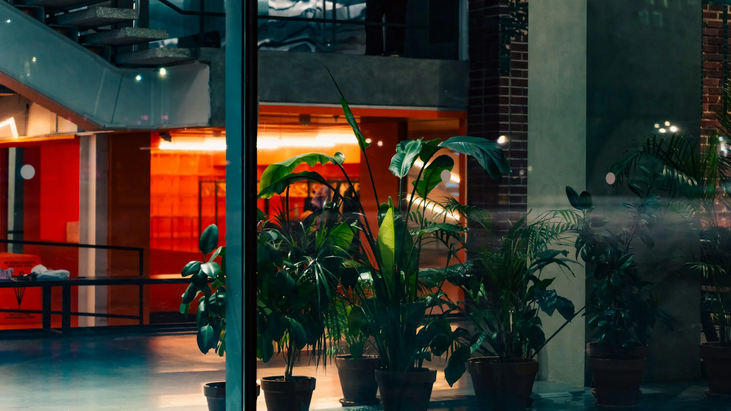 Beplanting in een modern interieur